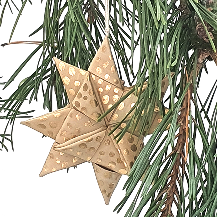 Star palmleaf set/3 nat/gold AN pouch